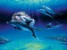 Morská panna a delfín